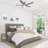 Sadie 52'' Ceiling Fan with Light Kit