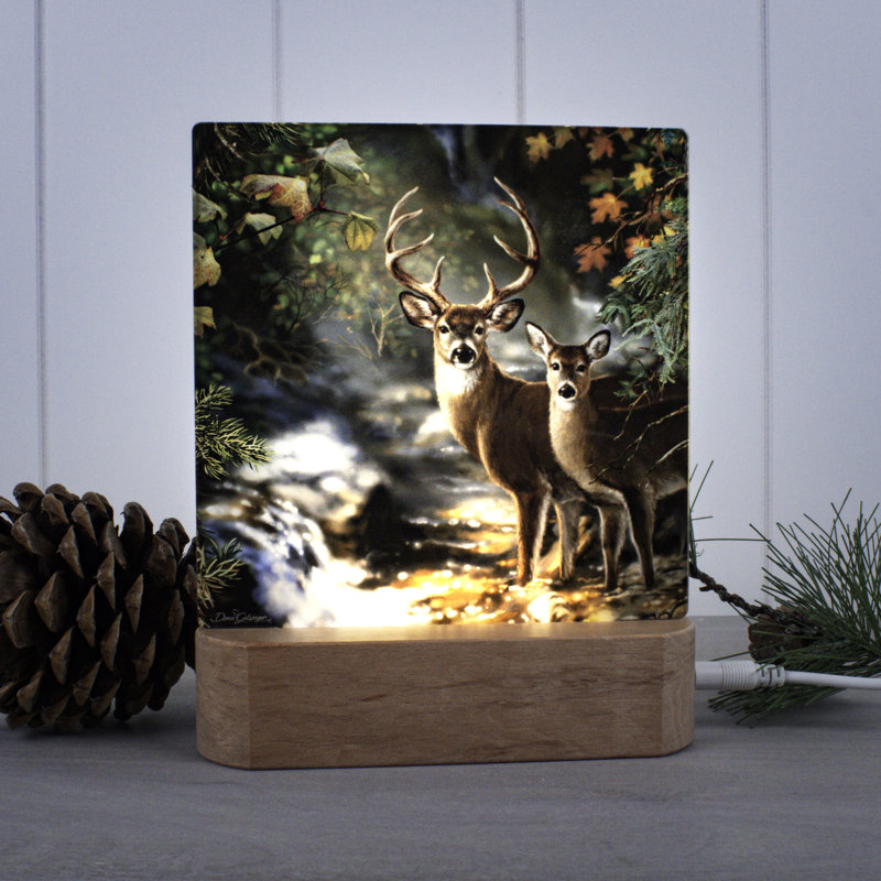 Deer Creek Night Light