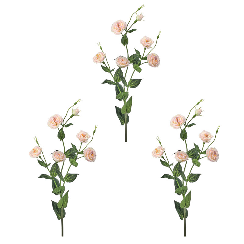 36 po Lisianthus 36 po, Rose
