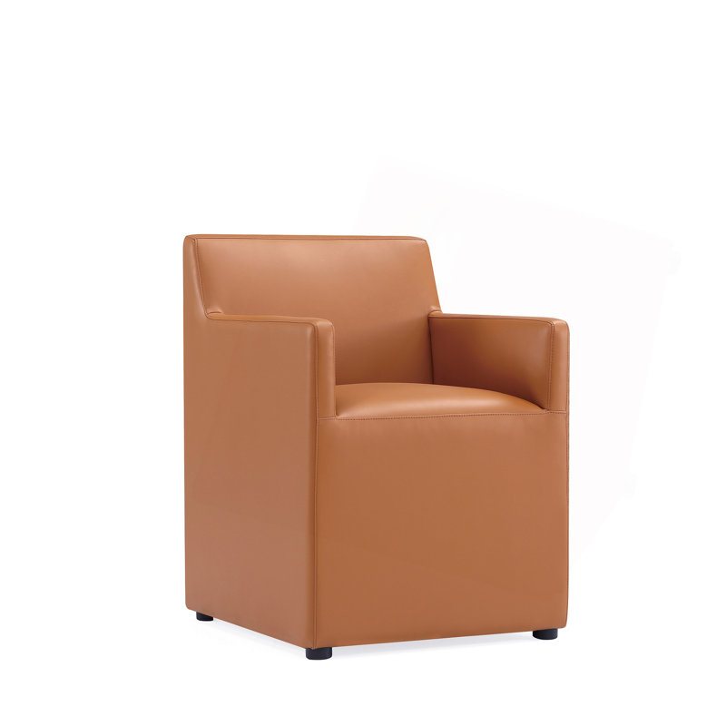 Fauteuil brun selle, Brun
