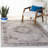 Iardella Performance Oriental Rug-665022618