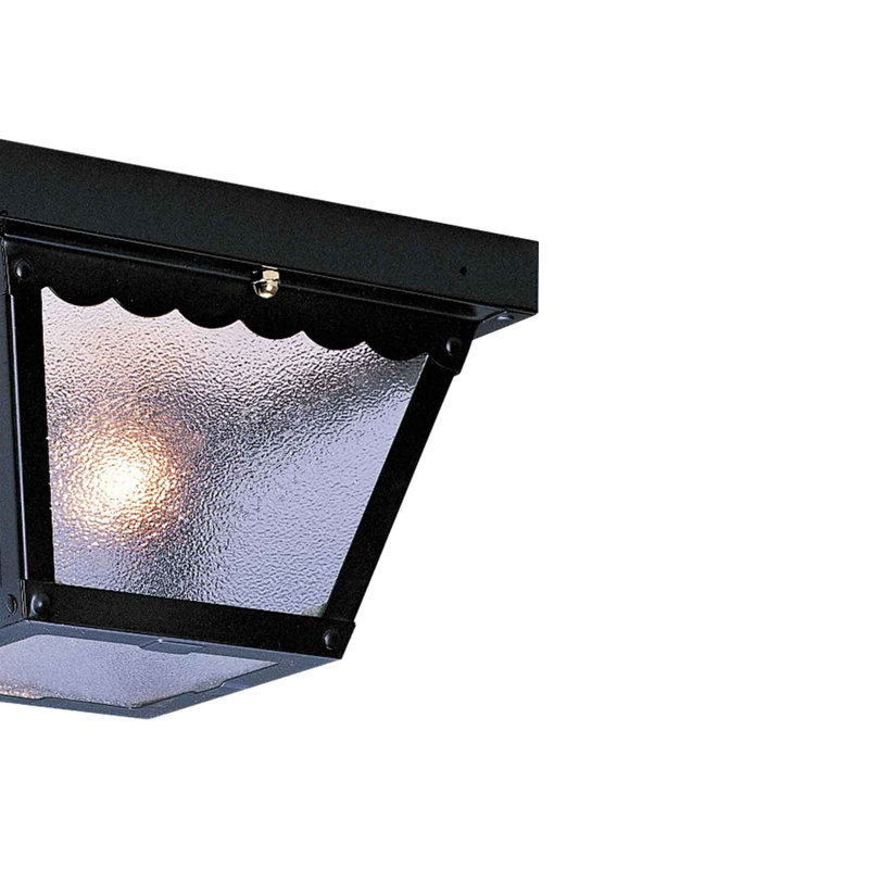 2-Light Outdoor Black Square Ceiling Flush Mount with Clear Textured Glass