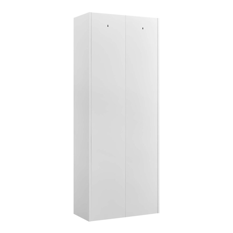 Armoire de rangement réglable en métal à 2 portes avec tablettes, durable et élégante pour la cuisine, le salon, la salle à manger et le bureau