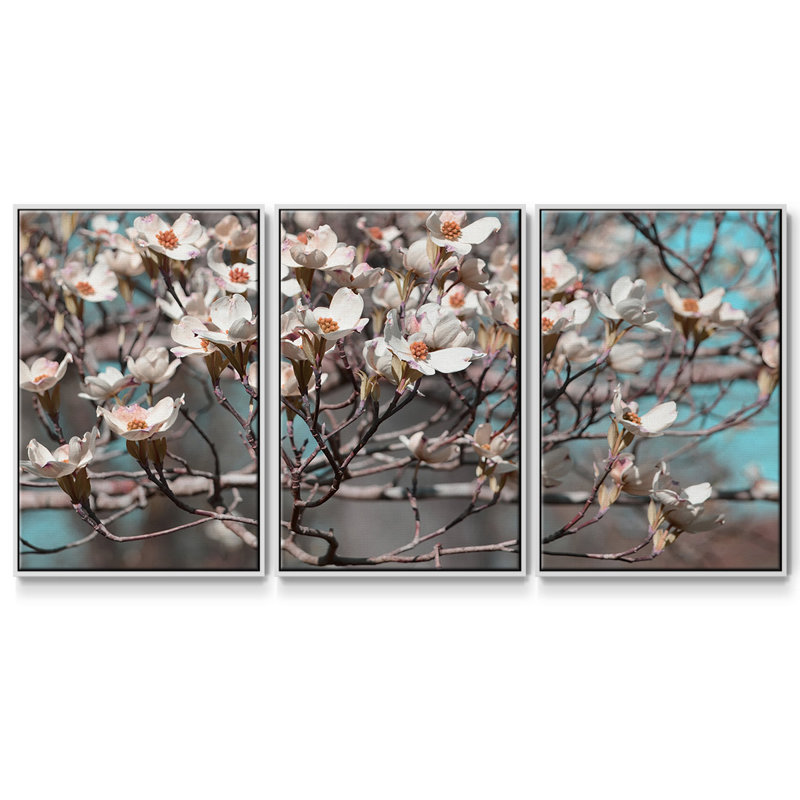 Dogwood Spring II, reproduction sur toile 3 pièces, H 24 po x l 48 po x P 2 po, Blanc