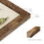 Antique Cactus VI - reproduction de cadre photo simple-137674985-137674987