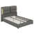 Grey est en rupture de stock