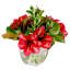 Amaryllis Magnolia Floral Arrangement in Vase