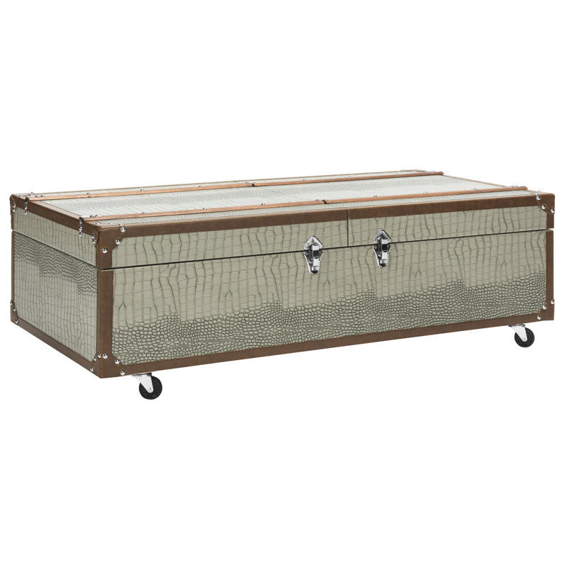 Narooma Wheel Coffee Table with Storage, Grey/Brown