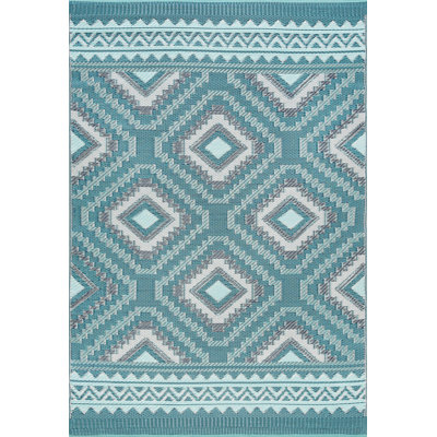 Arba Indoor / Outdoor Rug