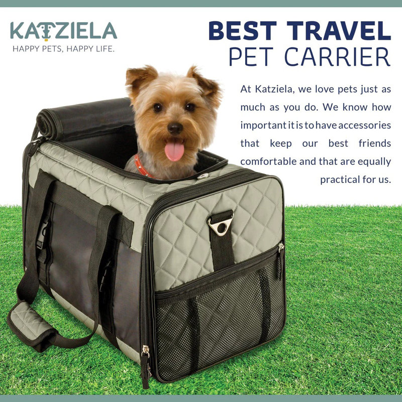 Sac de transport pour animaux Katziela, H 11 po x l 11 po x P 19 po, Gris
