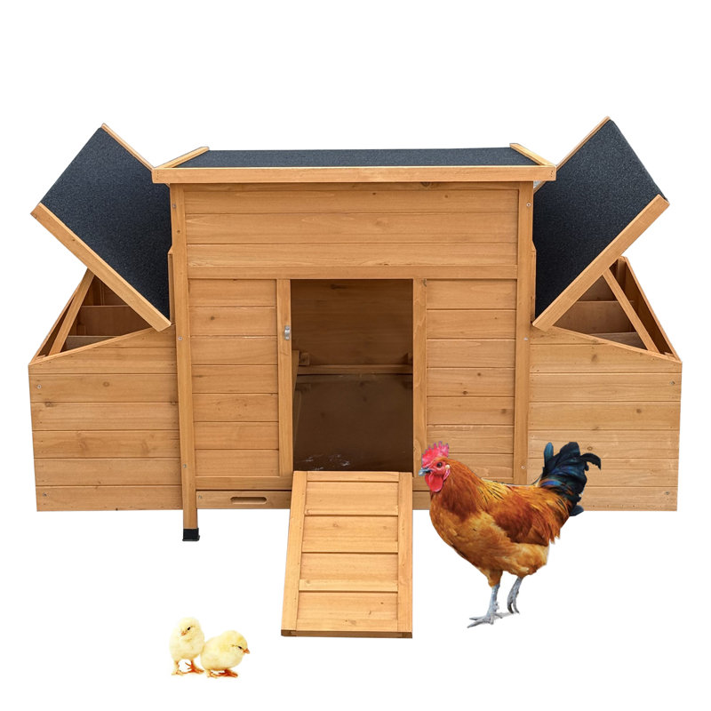 chicken coop