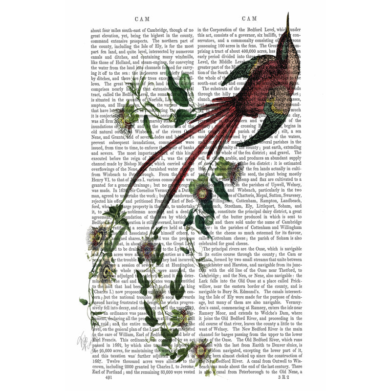 Passion Flower Bird - Wrapped Canvas Print, 46cm H x 30cm W x 3.8cm D