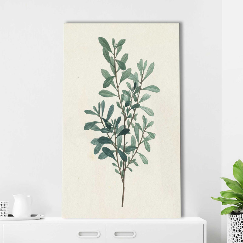 Victorian Garden Greenery I - Peinture, L 18 po x H 30 po, Toile tendue