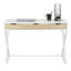 Espiridion Steel Writing Desk