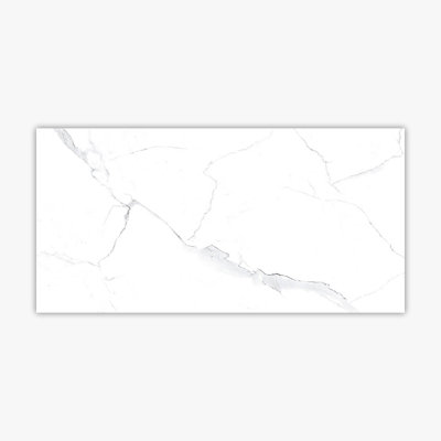 Carrelage aspect marbre 12 "x 24"