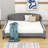 Haval Tufted Upholstered Daybed With Arms-1070206312