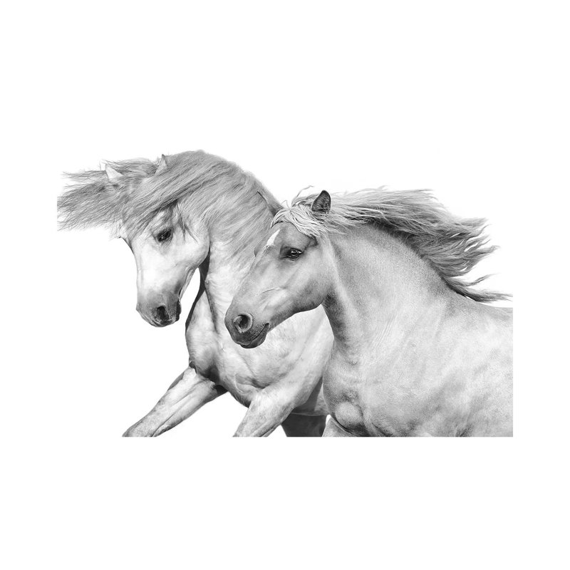 Duo I by Samantha Carter - Gallery-Wrapped Canvas Giclée on Canvas, Canvas, 20.32 cm H x 30.48 cm W