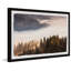 Into The Forest - Single Picture Frame Print-1815770413