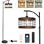 Arc Floor Lamp with Remote Control & Dimmable LED Bulb