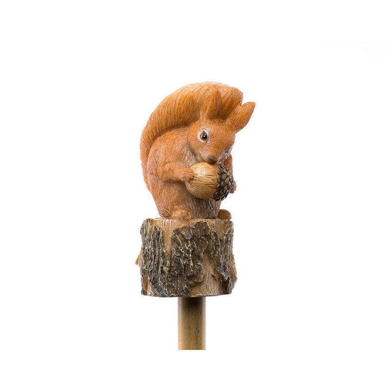 Squirrel Nutkin