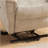 Contemporary Power Reclining Lift Chair