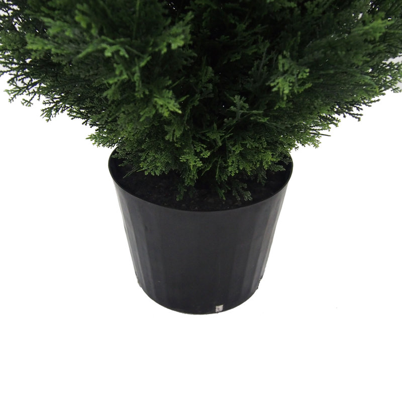 Topiaire de cèdre Yarbro en pot, H 60 po x l 13 po x P 13 po
