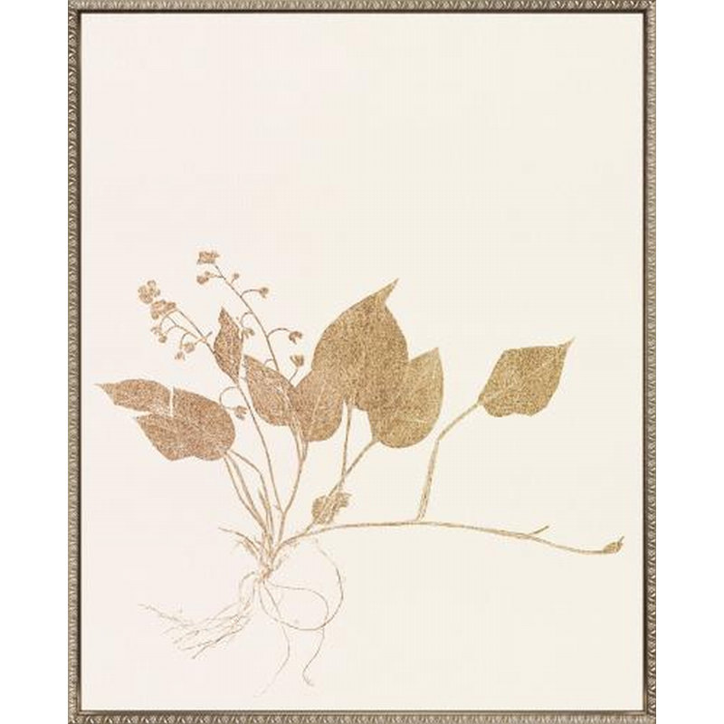 Floral Trace III Canvas Wall Art