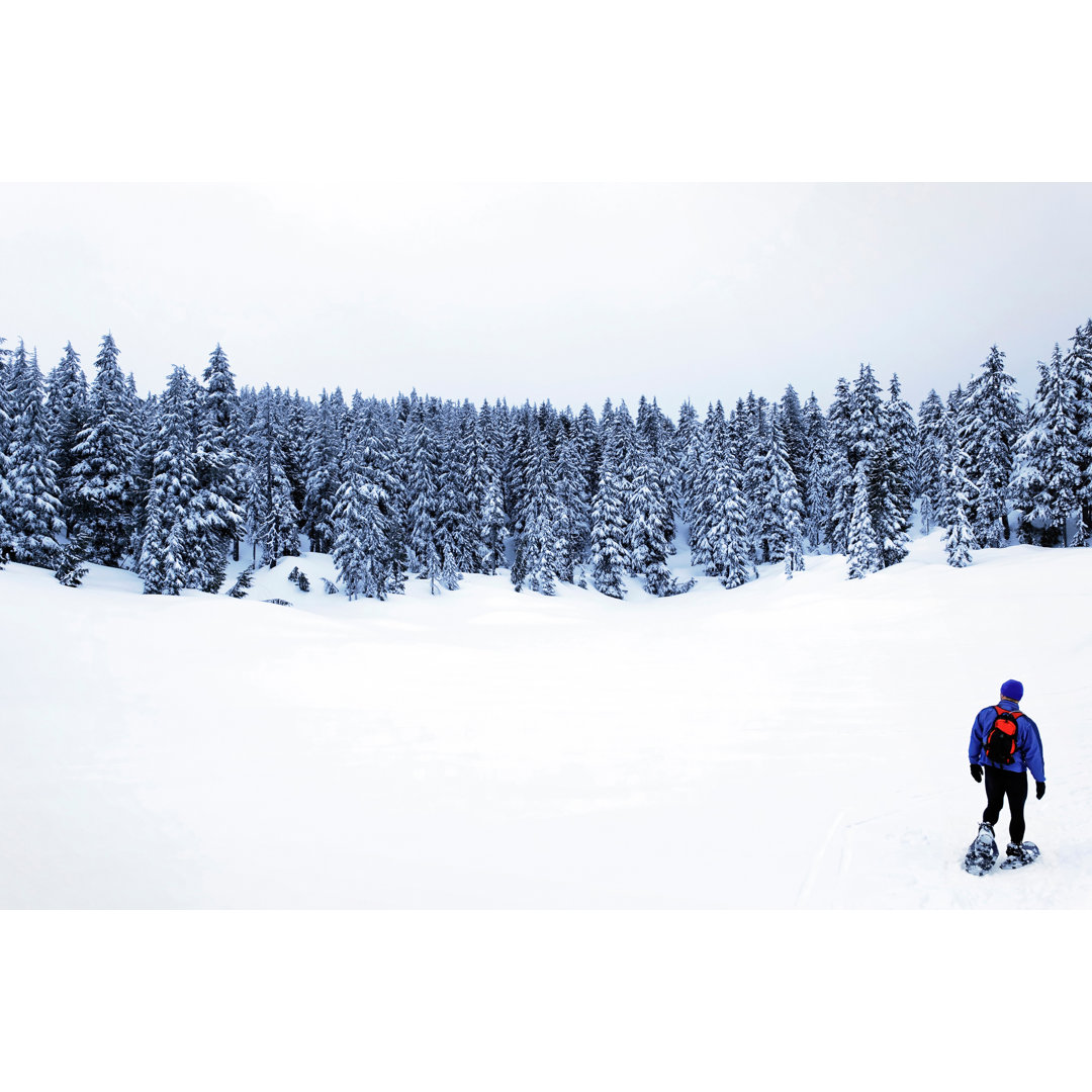 Schneeschuhwandern im Winterwald von Sharplydone - Leinwand Kunstdrucke