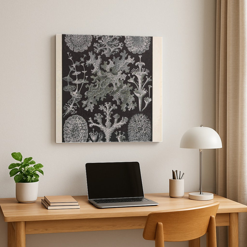 Kunstformen der Natur – Lichenes, Tafel 83 (1904) — Art mural carré en métal, H 16 po x l 16 po