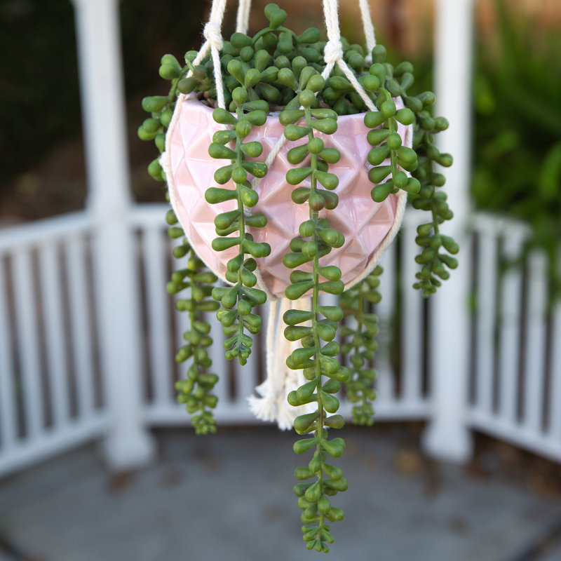 Pot à fleurs suspendu en céramique Odyssey, Rose