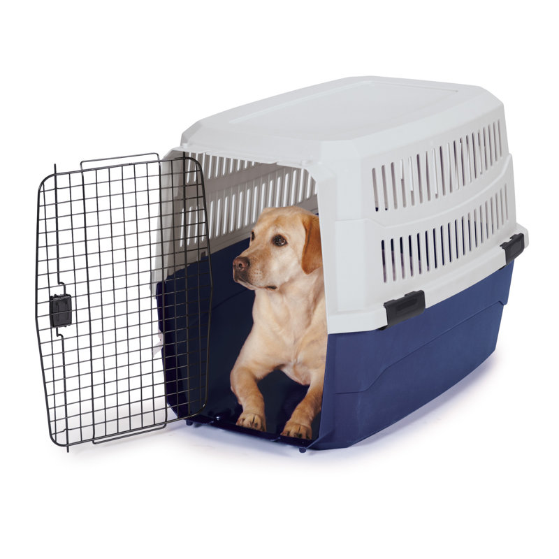 Tucker Murphy Pet ™, bleu, Moyen (H 9,5 po x l 21,25 po x P 26,25 po)