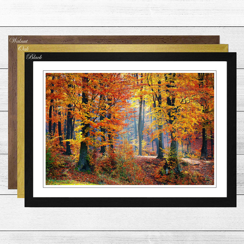 Landscape Forest in the Autumn - Framed Print, Black