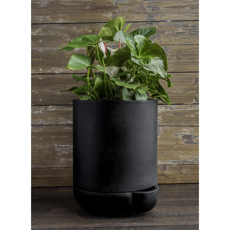 Pot à fleurs en pierre moulée à arrosage automatique The Simple Pot, H 15,5 po x l 13,5 po x P 12,25 po, Nero Nuovo