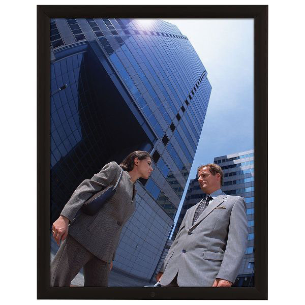 Lockable Weatherproof Frame MT Displays