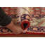 Tapis de couloir traditionnel All-Over 4 x 10