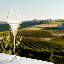 Notes Glassware-1789012501