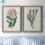 Protea N13 - Ensemble de 2 peintures sur toiles encadrées-2116893456-2116893549