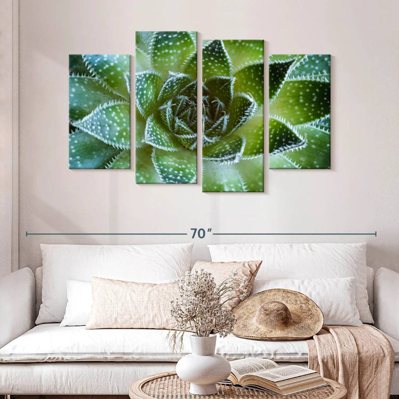 Harnek Lace Aloe Succulent, 32" H x 52" W