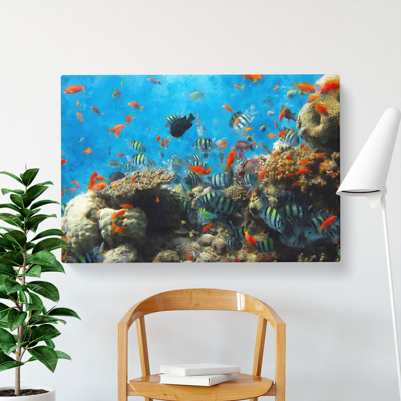 Coral Reef And Fish Vol.2 - Wrapped Canvas, 35cm H x 50cm W x 3cm D