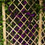 Banc de jardin en bois Disanto