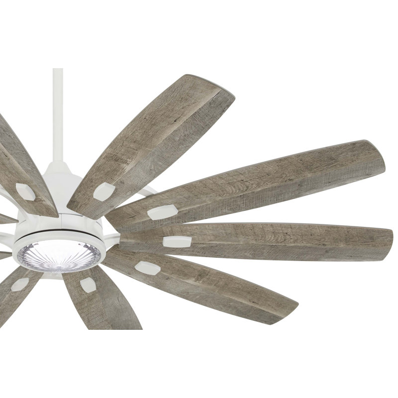 Barn 65'' Ceiling Fan with LED Lights