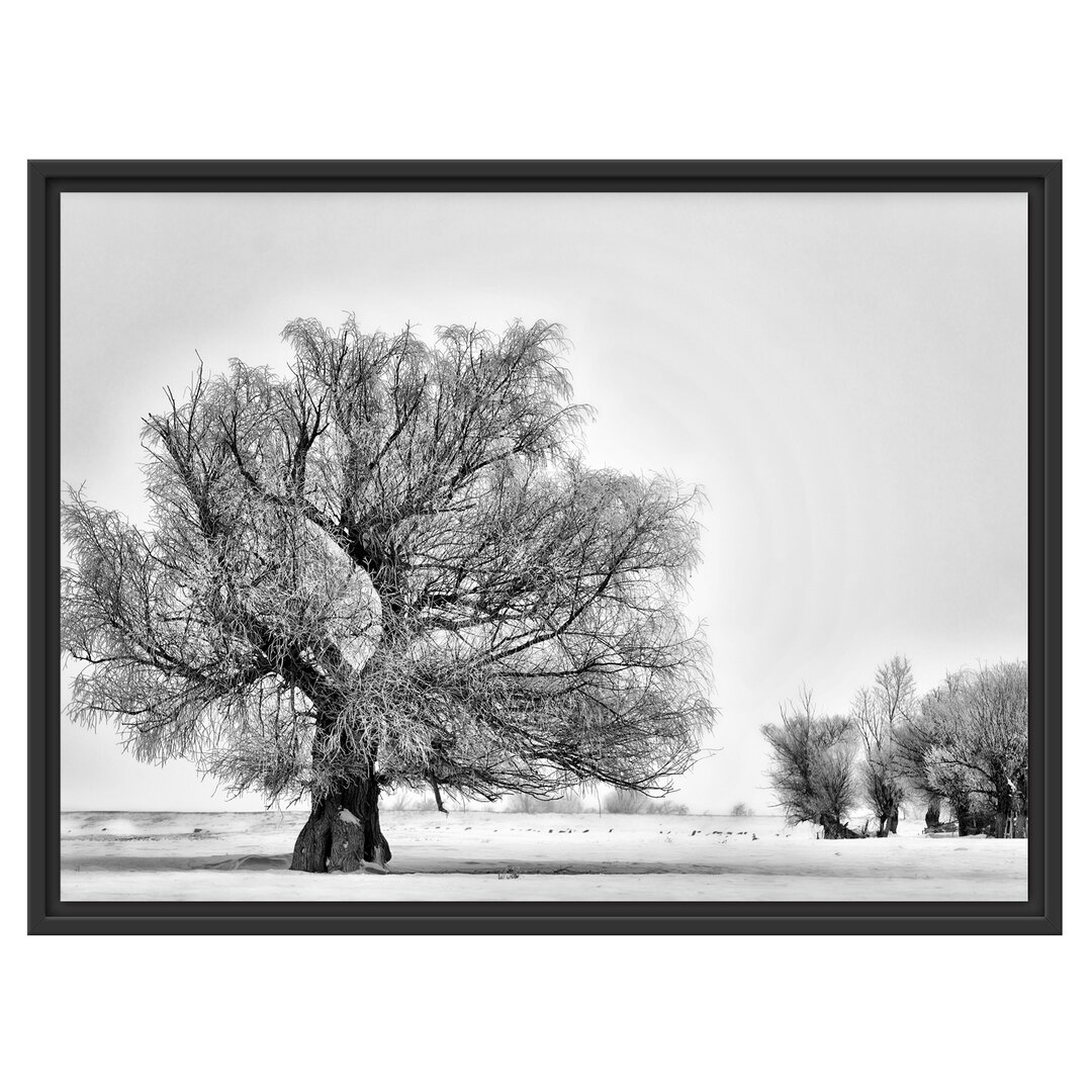 Gerahmtes Wandbild BäumeSchnee Nebel