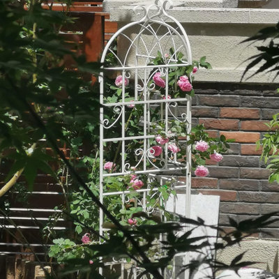 Versatile Metal Trellis For Outdoor Plants, Enhancing Garden Beauty