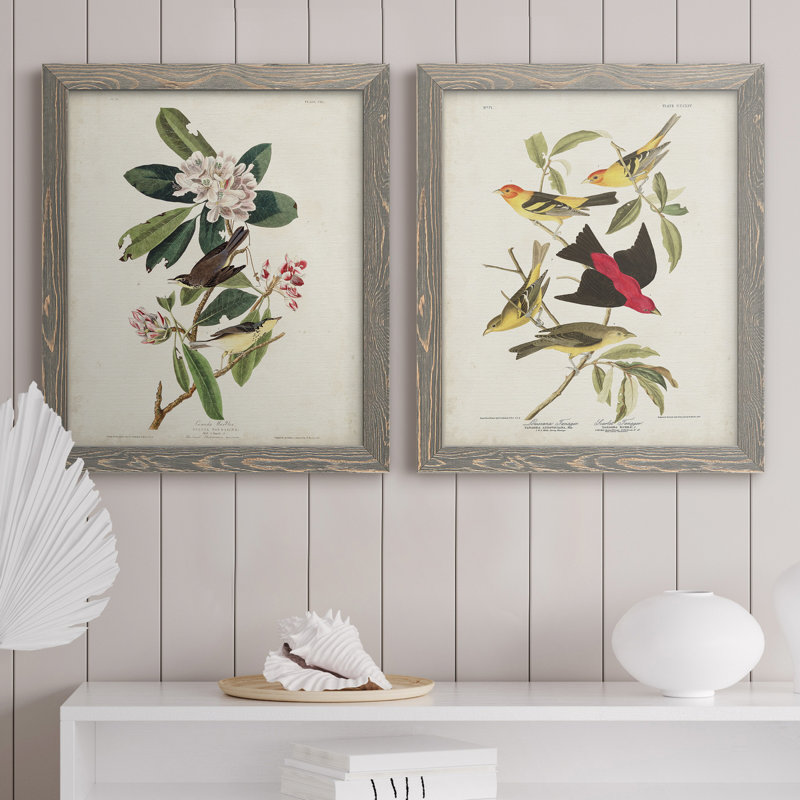 Pl 103 Canada Warbler - Ensemble de 2 reproductions d'art sur toile, Toile avec cadre gris, H 20 po x l 17 po x P 1 po