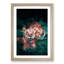 Lioness Duo in Abstract - Picture Frame Graphic Art Print-55761300-55761305