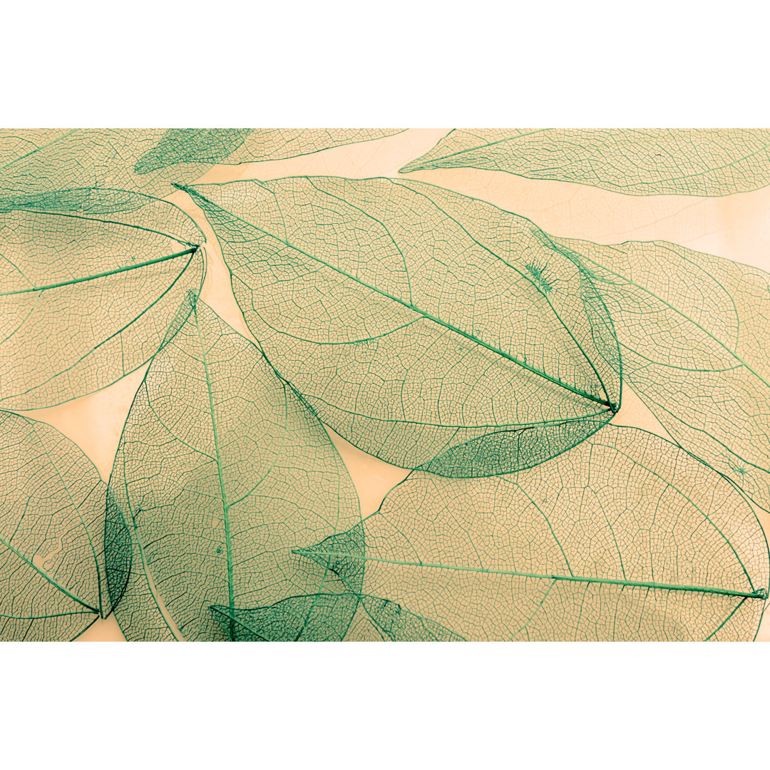 Macro Leaves von Portishead1 - Druck auf Leinwand ohne Rahmen