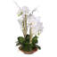Real Touch Phalaenopsis Silk Orchid Floral Arrangement with Curly Willow