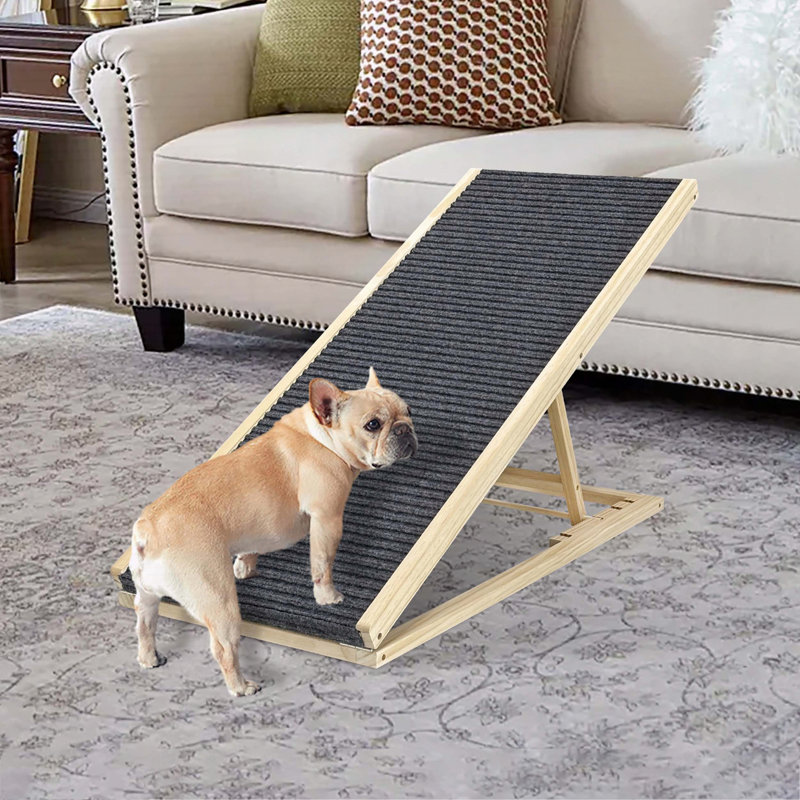 Rampe pour chien pour lit, très large avec surface en caoutchouc antidérapante - pliable, réglable