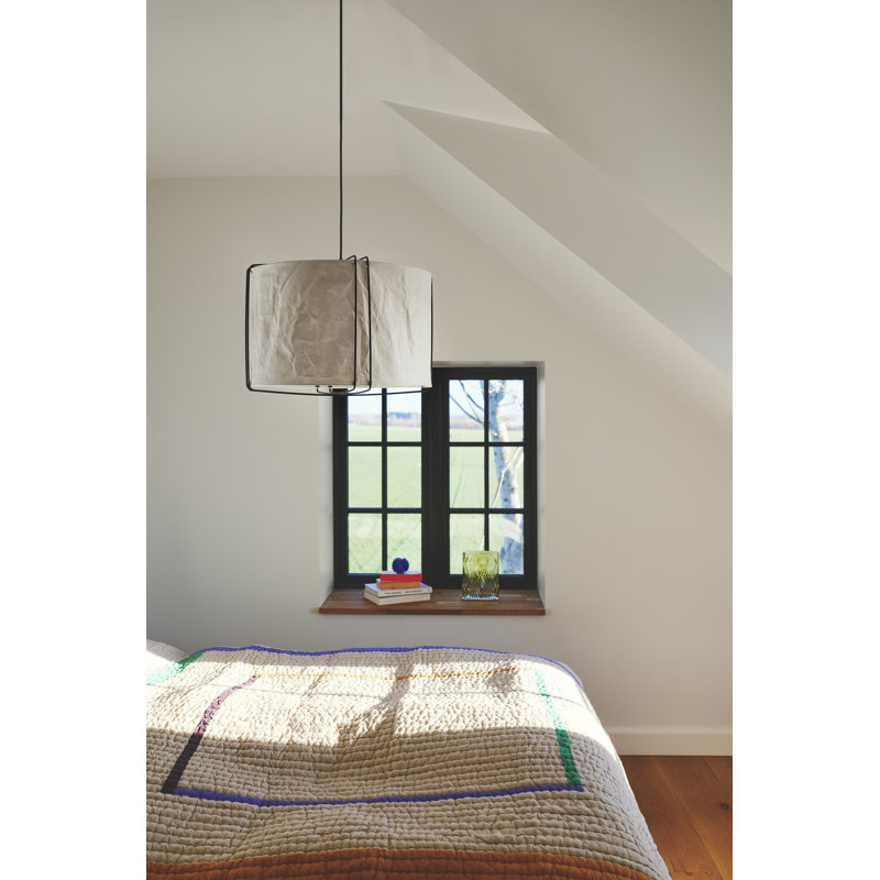 1 - Light Novelty Pendant