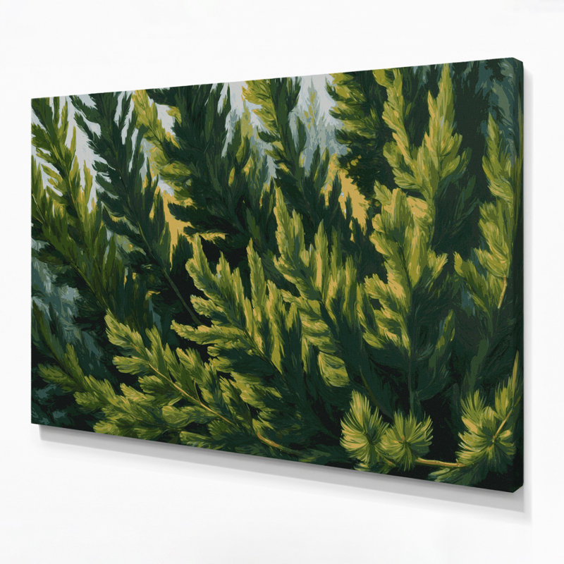 Art mural sur toile Botanical Cedar Boughs, H 11 po x l 14 po
